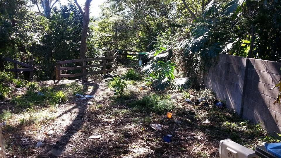 Backyard cleared and mulched ready for planting