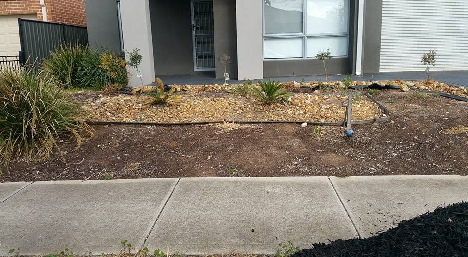 Front garden bed before mulching, bare soil and sparse plants