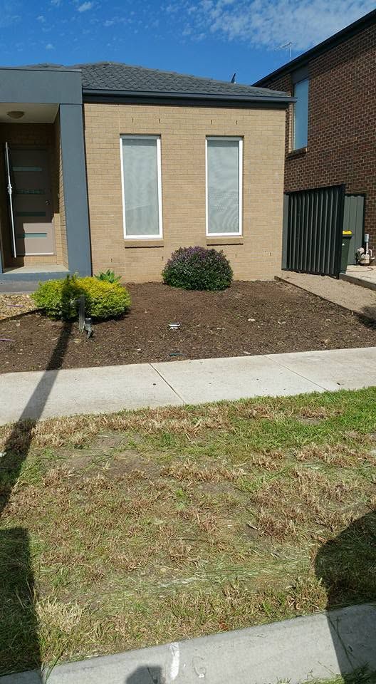Front lawn freshly mowed with clean edges