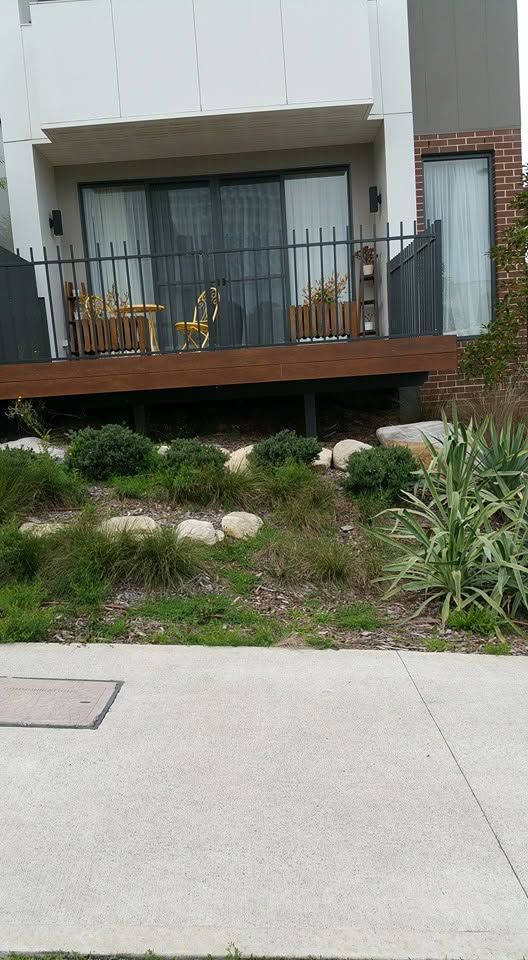 Front garden bed before maintenance, sparse and untidy