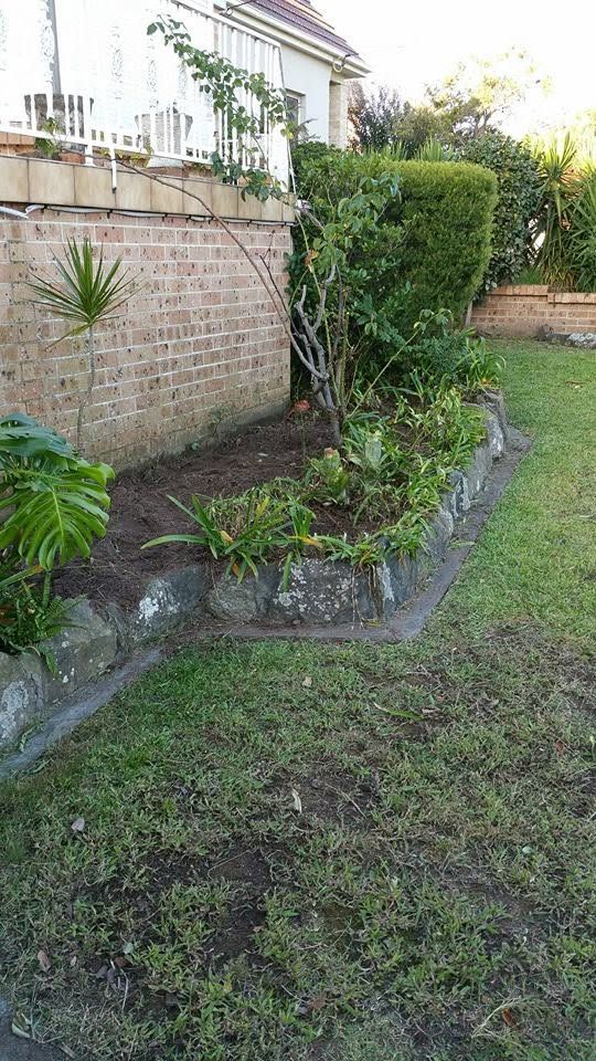 Garden bed weeded and tidied beside a brick wall