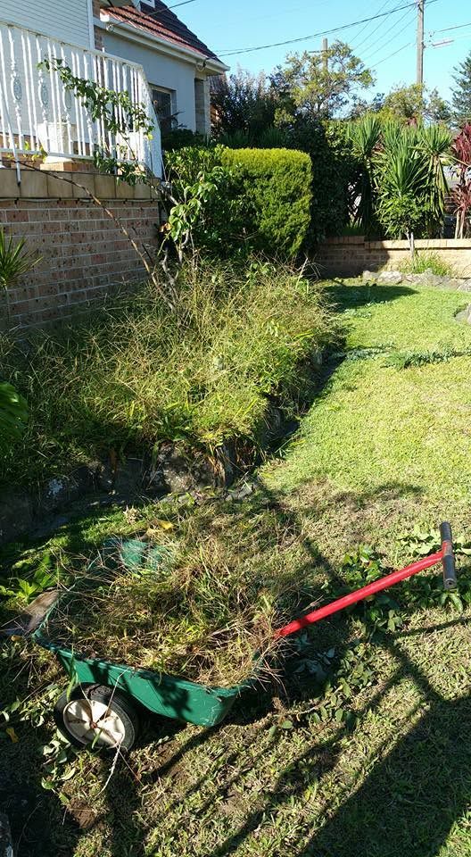 Garden bed during weeding work with weeds being removed