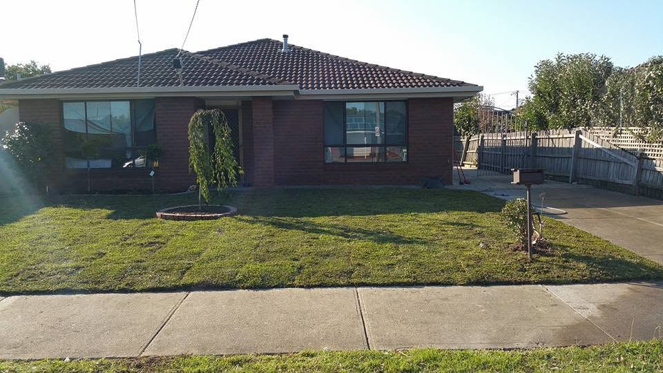 Front lawn after mowing and edging, neat and green