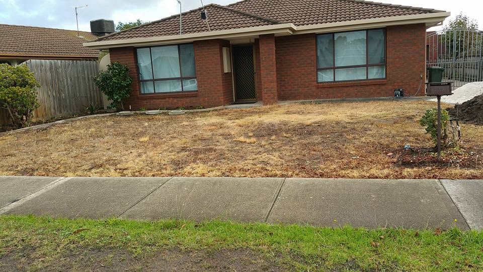 Front lawn before service, dry and untidy