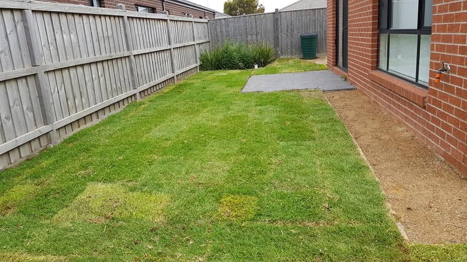 Rental backyard after work with fresh green lawn