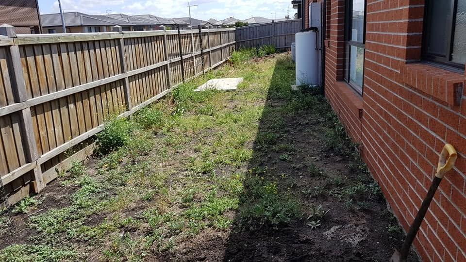 Rental backyard before work, patchy and untidy