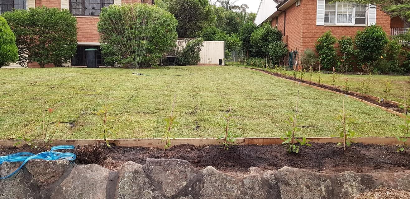 Retaining wall garden bed cleared, planted and edged