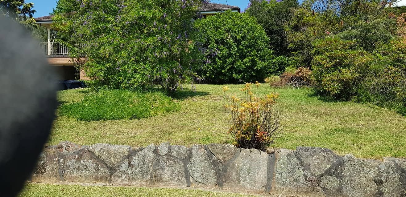 Overgrown garden bed along a stone retaining wall