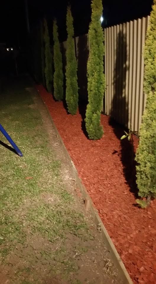 Screening hedge row maintained with fresh mulch borders