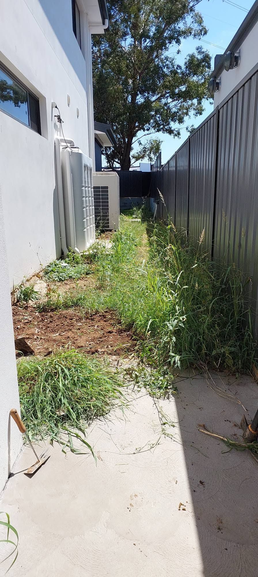 Side access path before, overgrown with weeds along the fence