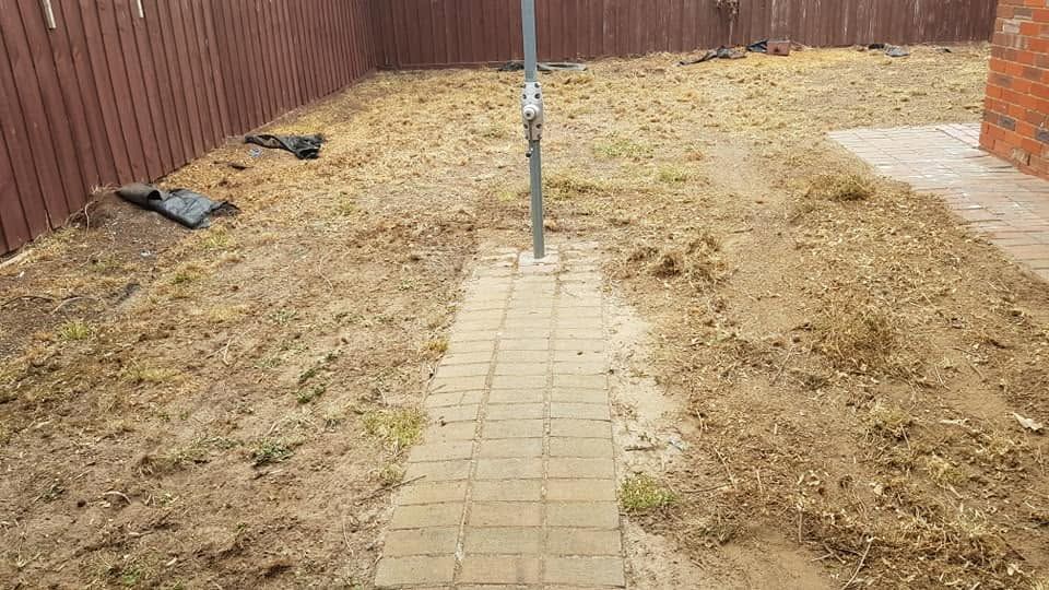 Backyard before turf: bare dirt with paver path and clothesline