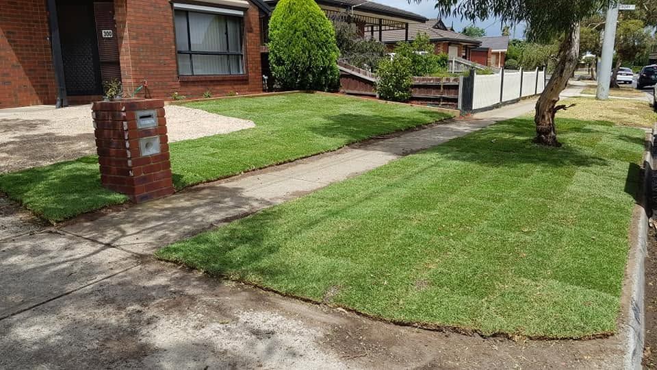 Front yard after new turf laid around the path