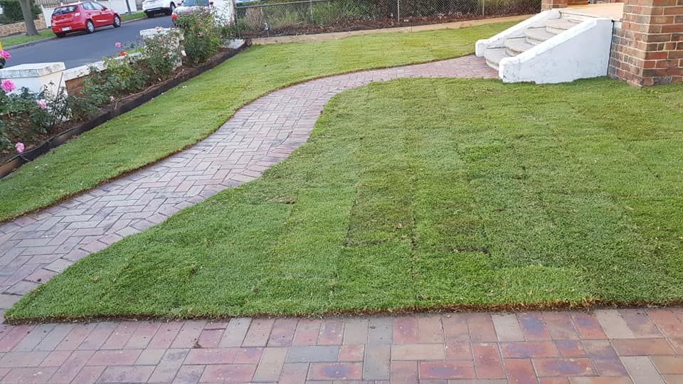 Yard after turf installation surrounding the curved brick path
