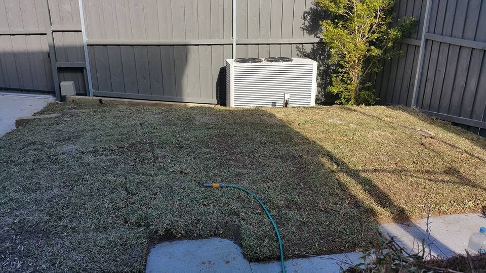 Backyard after clearing with soil levelled and surfaces prepped